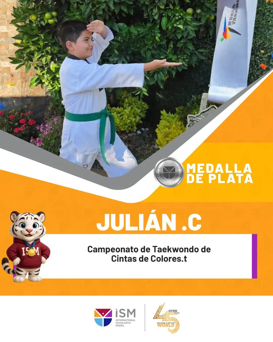 Plata Taekwondo competencia de Poomsae